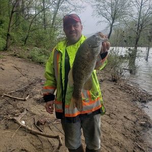 Meet your Posher, Tj